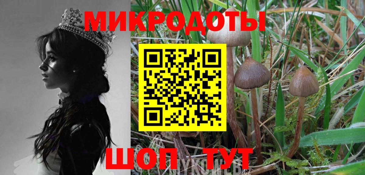Псилоцибиновые грибы Magic Shrooms  Галлюциногенные грибы мухоморы  Усолье-Сибирское  Вход с VPN 