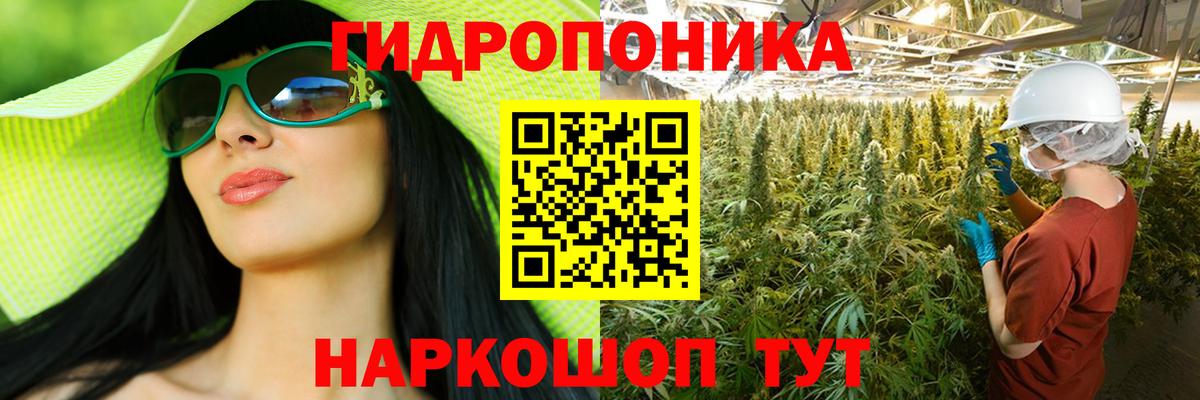 Шишки марихуана план  Вход с VPN  Каннабис Ganja  Каннабис Amnesia  Усолье-Сибирское 